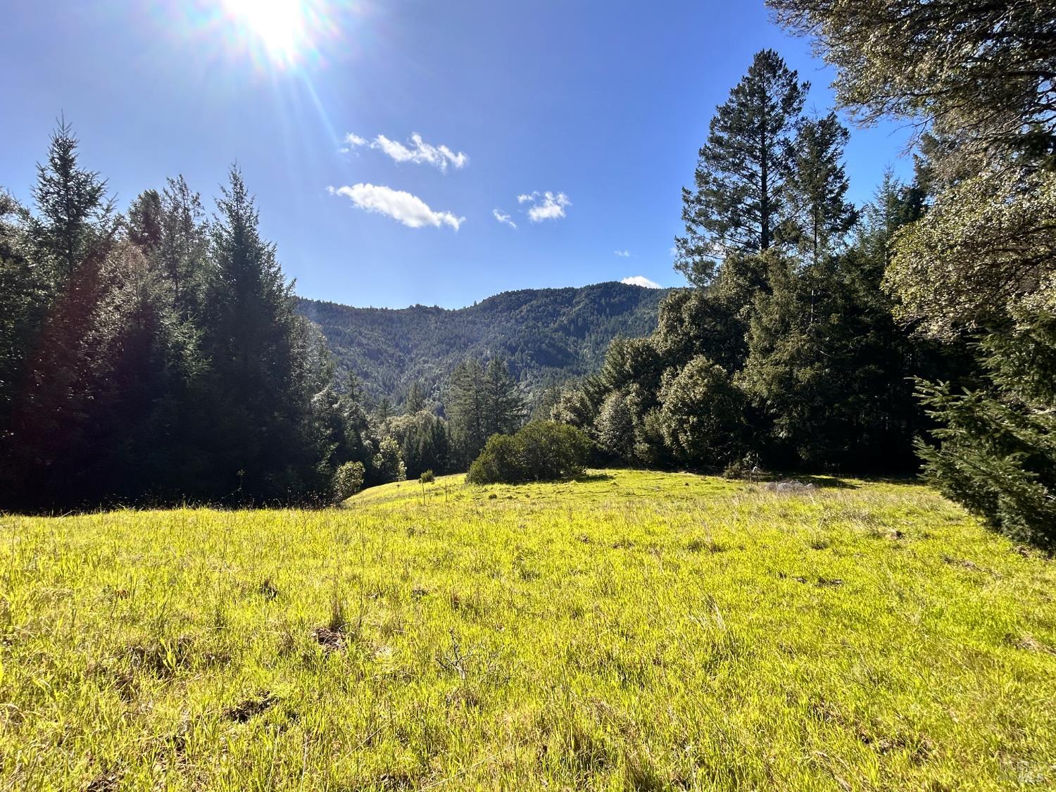 Detail Gallery Image 22 of 22 For 4100 Hansen Ranch Rd, Piercy,  CA 95587 - – Beds | – Baths