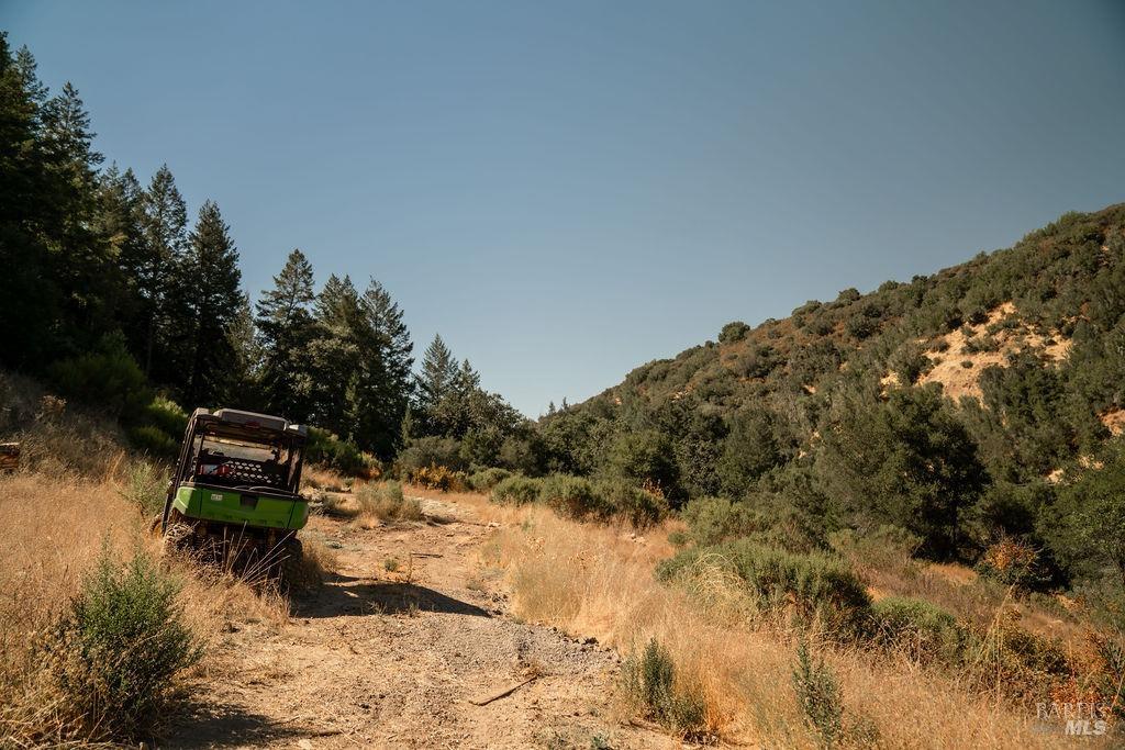 Detail Gallery Image 8 of 26 For 0 Mount Veeder Rd, Saint Helena,  CA 94574 - – Beds | – Baths