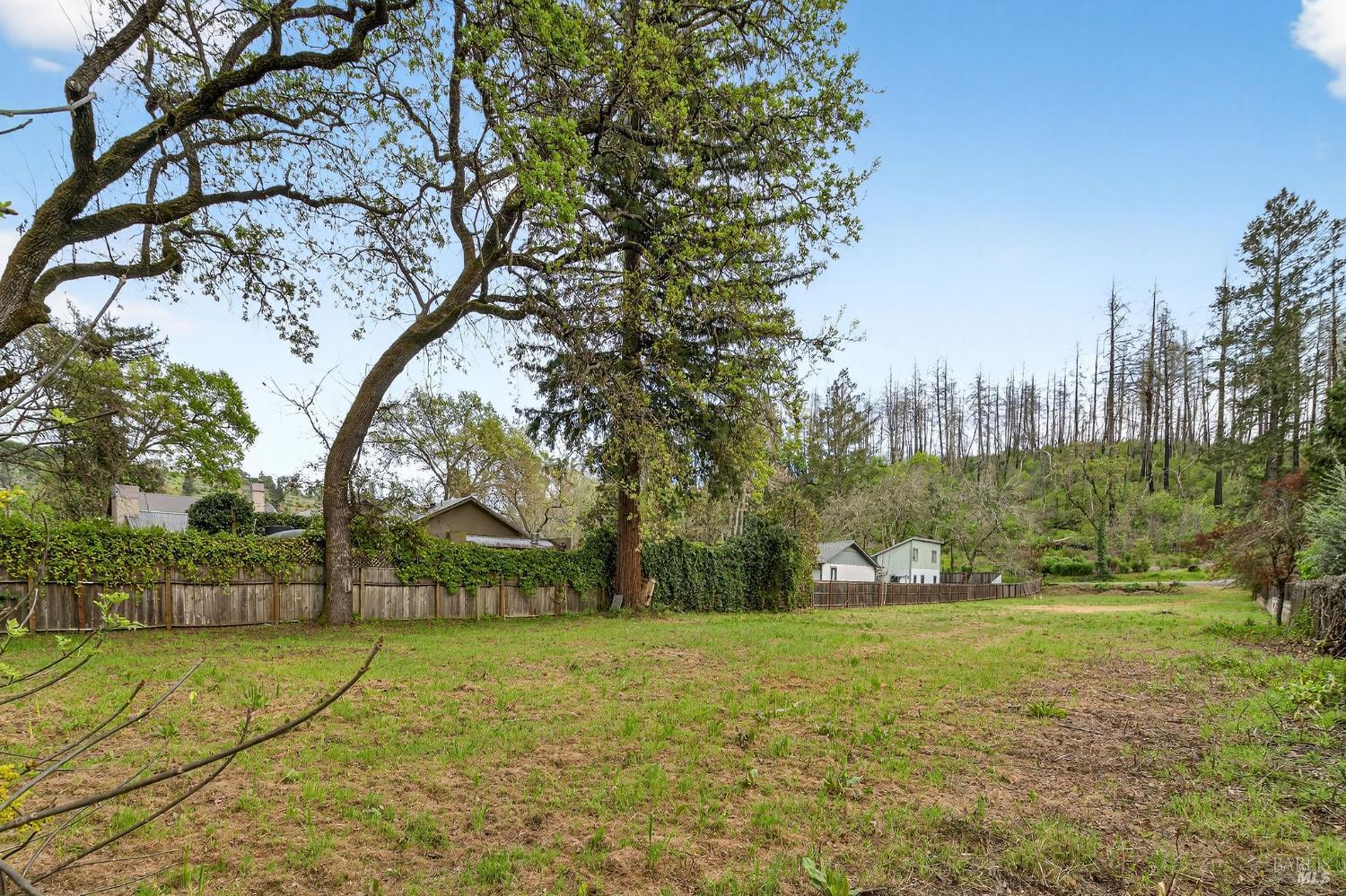 Detail Gallery Image 13 of 20 For 420 Glass Mountain Rd, Saint Helena,  CA 94574 - – Beds | – Baths