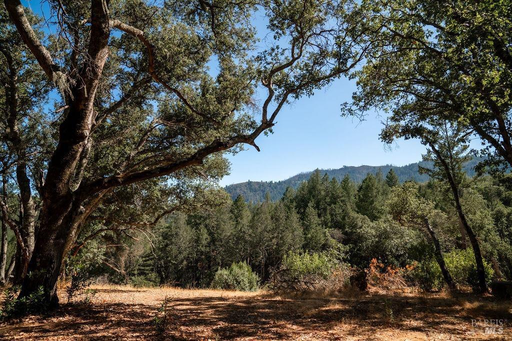 Detail Gallery Image 16 of 26 For 0 Mount Veeder Rd, Saint Helena,  CA 94574 - – Beds | – Baths