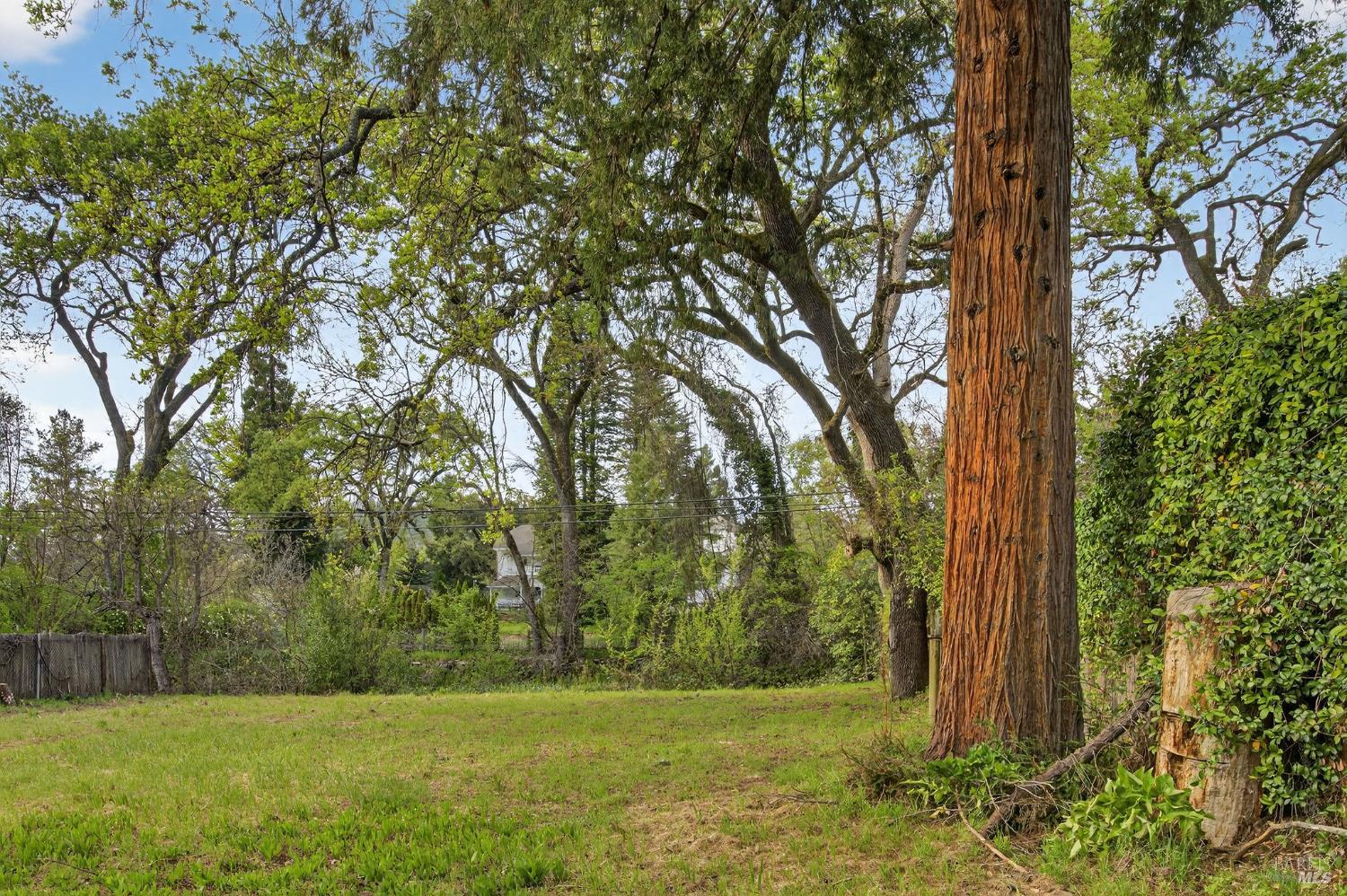 Detail Gallery Image 19 of 20 For 420 Glass Mountain Rd, Saint Helena,  CA 94574 - – Beds | – Baths