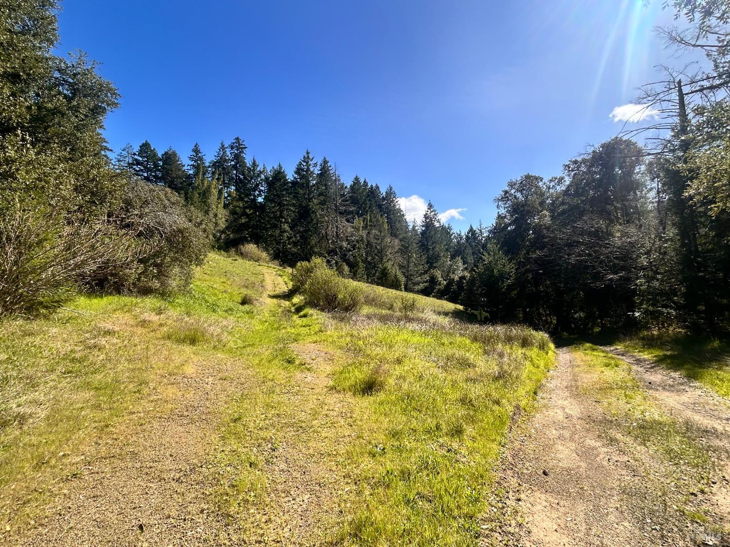 Detail Gallery Image 13 of 22 For 4100 Hansen Ranch Rd, Piercy,  CA 95587 - – Beds | – Baths