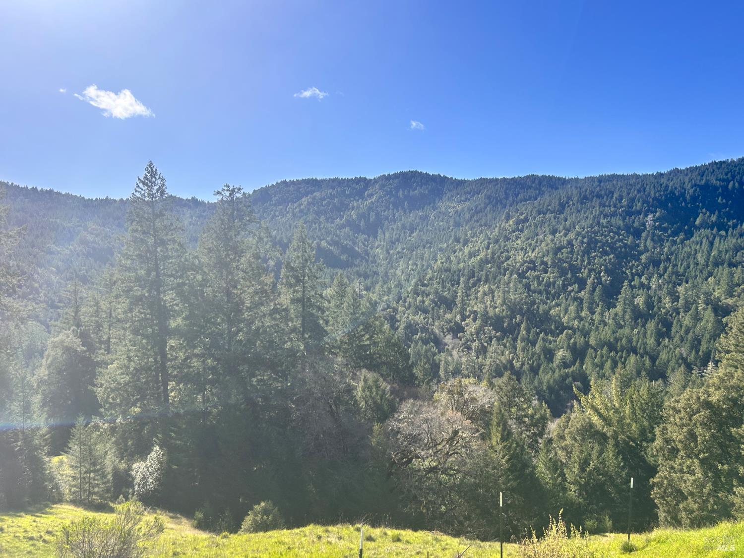 Detail Gallery Image 5 of 22 For 4100 Hansen Ranch Rd, Piercy,  CA 95587 - – Beds | – Baths