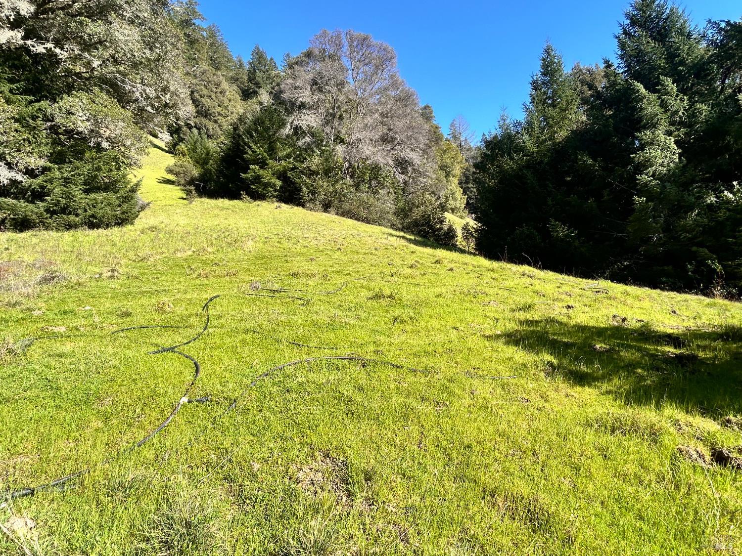 Detail Gallery Image 2 of 22 For 4100 Hansen Ranch Rd, Piercy,  CA 95587 - – Beds | – Baths