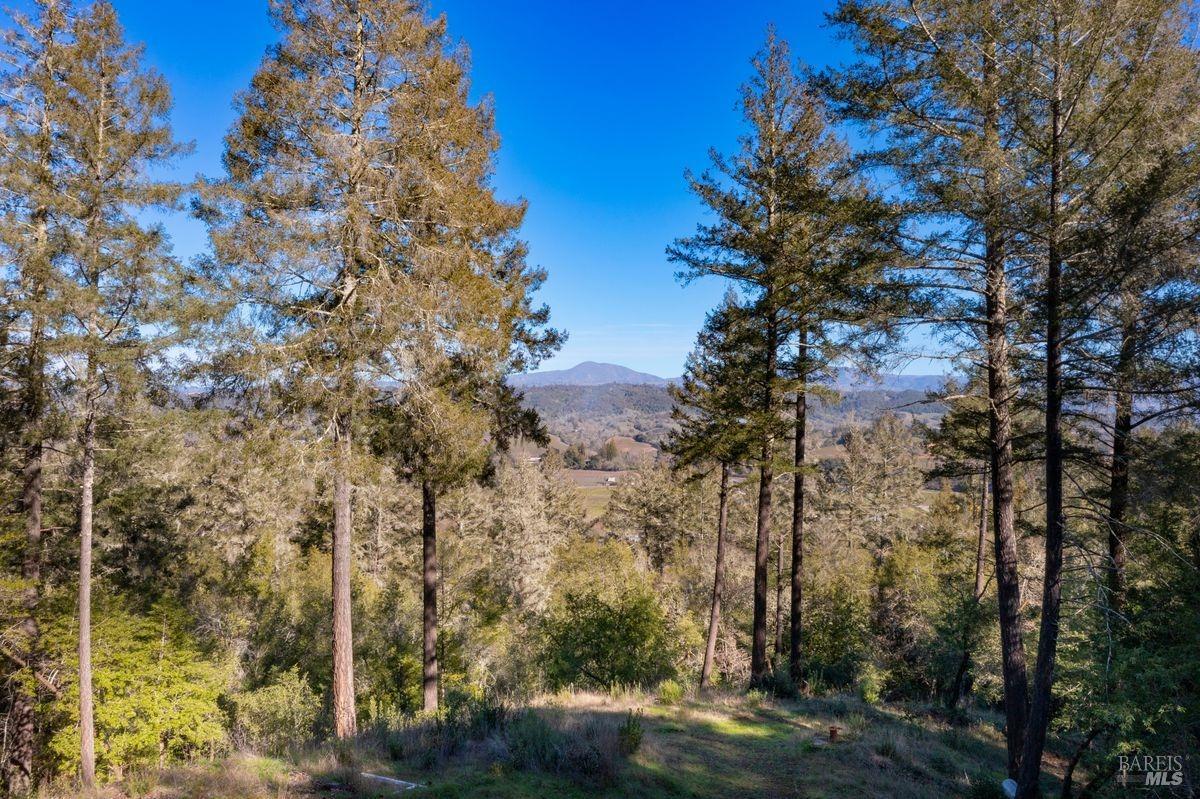 Detail Gallery Image 17 of 43 For 3210 W Dry Creek Rd, Healdsburg,  CA 95448 - – Beds | – Baths