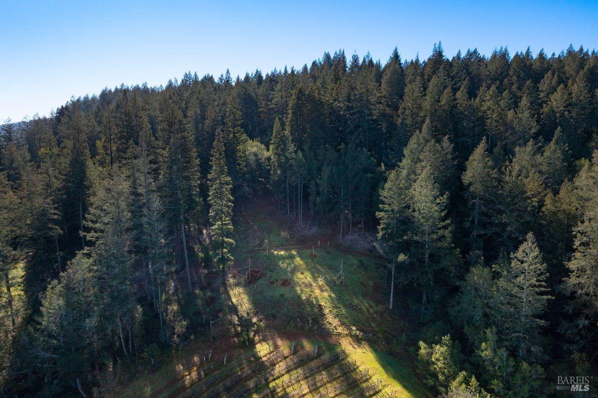 Detail Gallery Image 6 of 43 For 3210 W Dry Creek Rd, Healdsburg,  CA 95448 - – Beds | – Baths