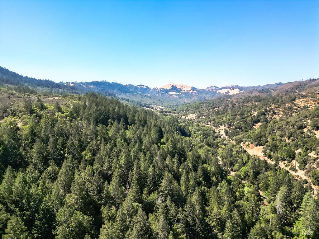 Detail Gallery Image 25 of 26 For 0 Mount Veeder Rd, Saint Helena,  CA 94574 - – Beds | – Baths