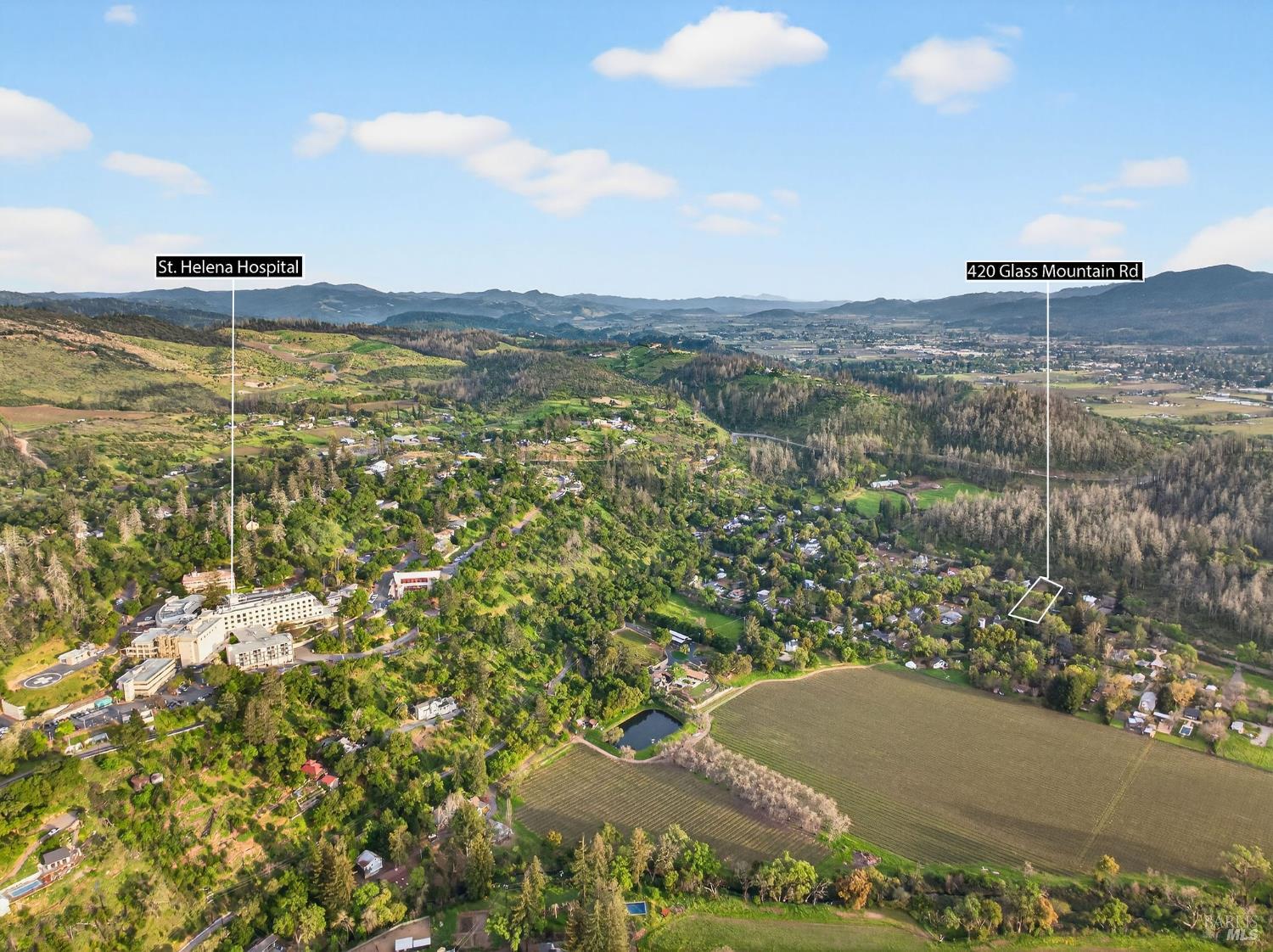 Detail Gallery Image 6 of 20 For 420 Glass Mountain Rd, Saint Helena,  CA 94574 - – Beds | – Baths