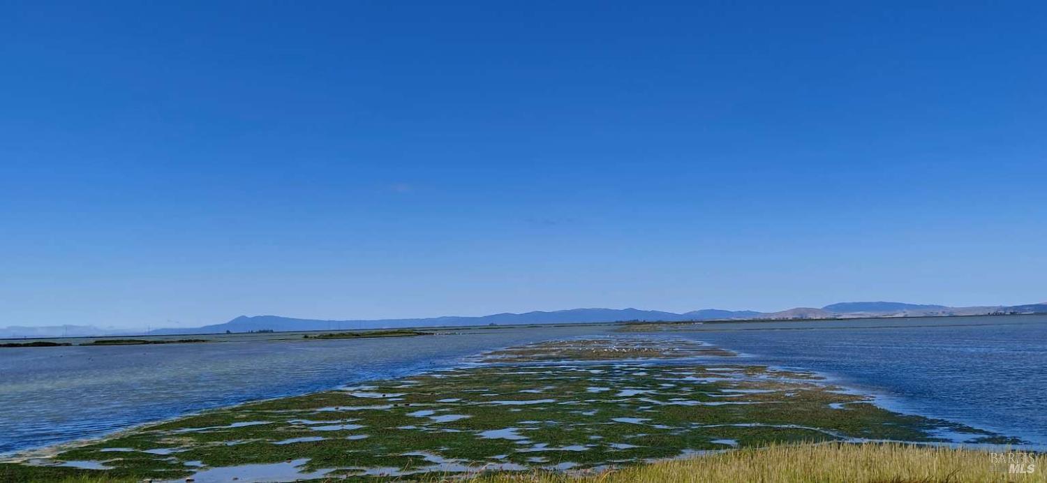 Detail Gallery Image 11 of 26 For 528 Wetlands Edge Rd, American Canyon,  CA 94503 - 4 Beds | 2/1 Baths