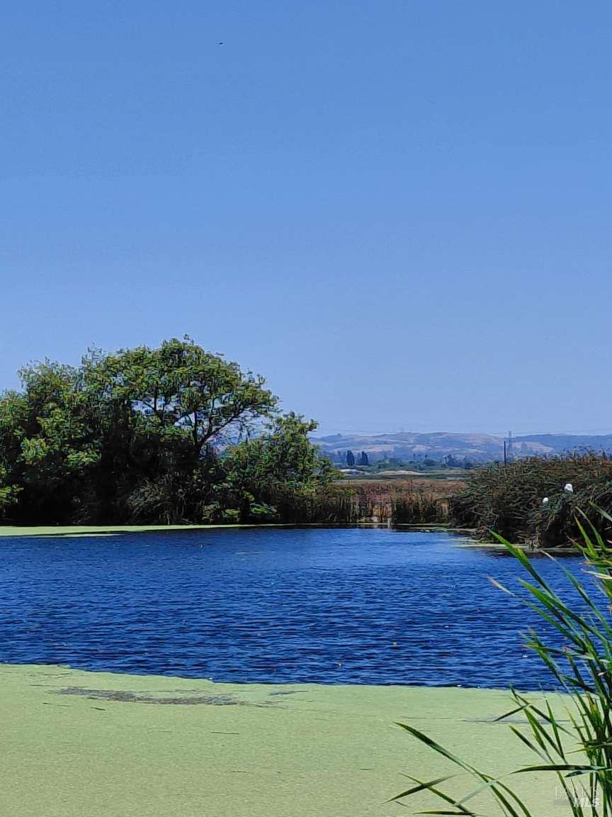 Detail Gallery Image 25 of 26 For 528 Wetlands Edge Rd, American Canyon,  CA 94503 - 4 Beds | 2/1 Baths