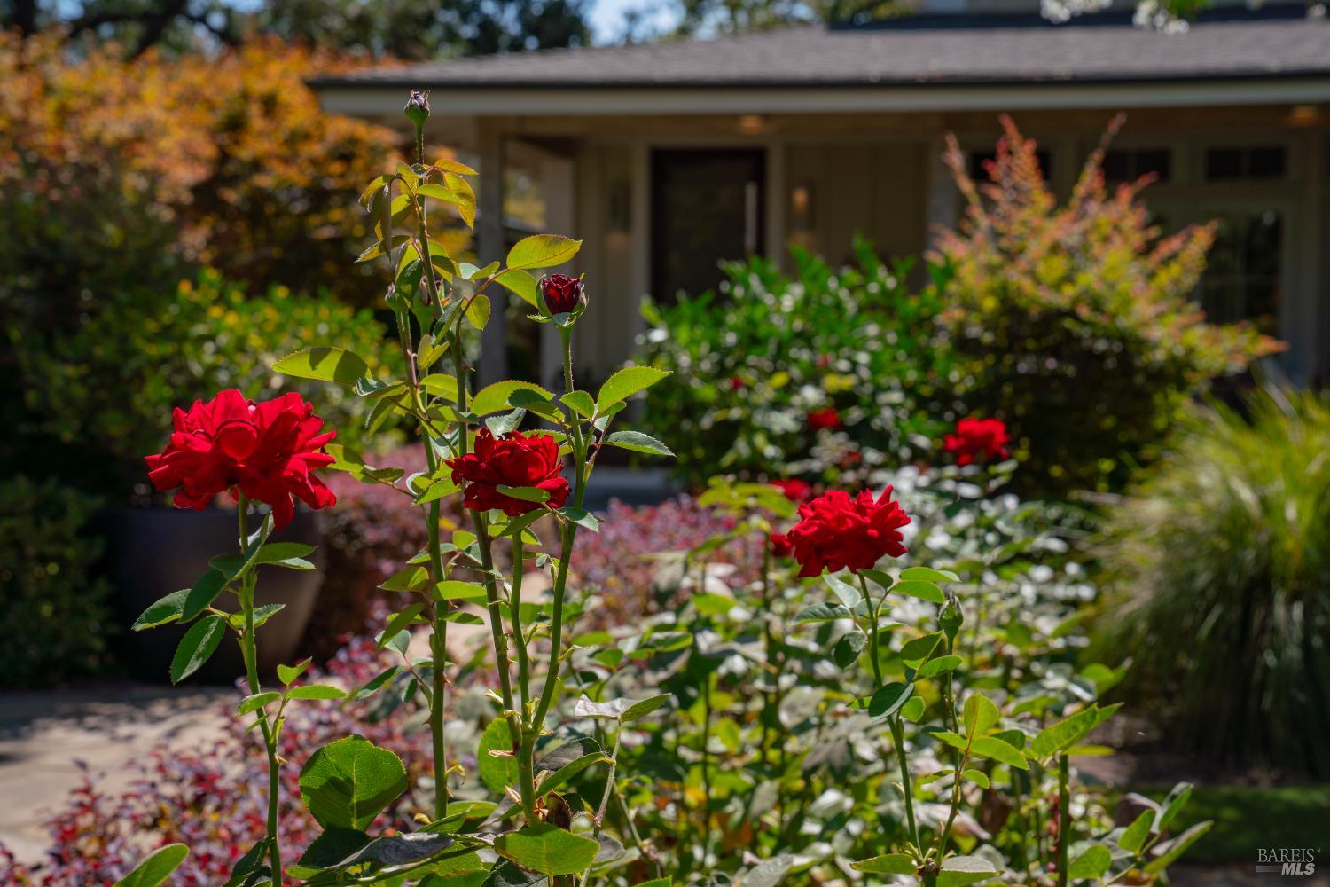 Detail Gallery Image 44 of 52 For 1551 Spring St, Saint Helena,  CA 94574 - 4 Beds | 4/1 Baths