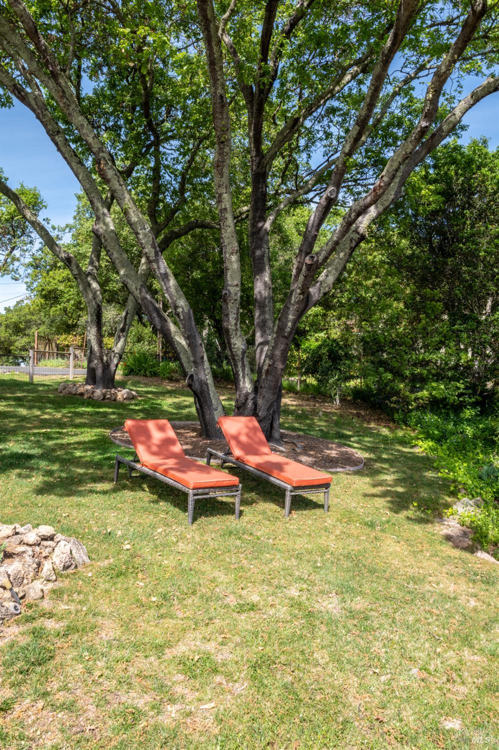 Detail Gallery Image 8 of 49 For 452 Chestnut Ave, Sonoma,  CA 95476 - 3 Beds | 2 Baths