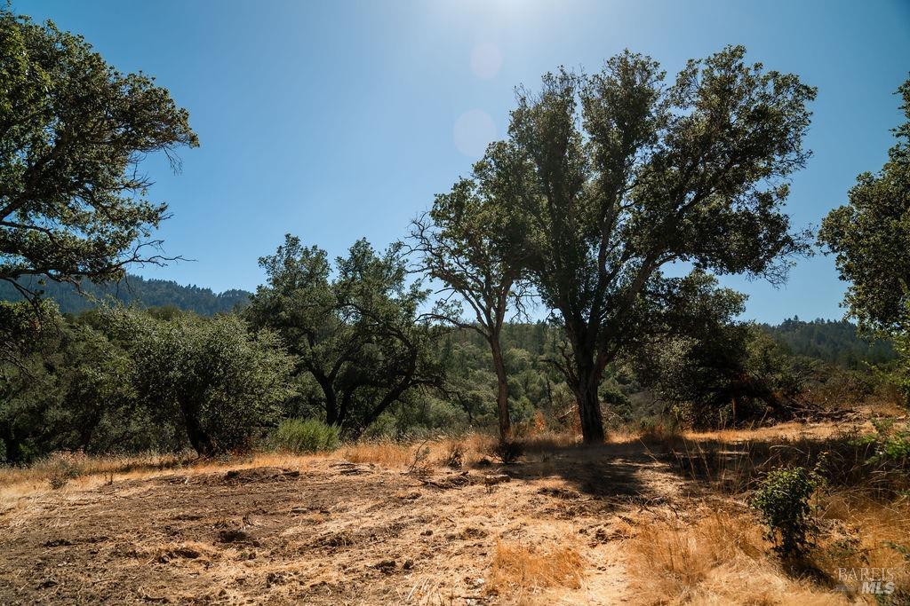 Detail Gallery Image 15 of 26 For 0 Mount Veeder Rd, Saint Helena,  CA 94574 - – Beds | – Baths