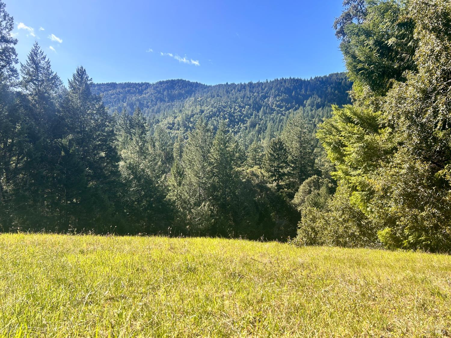 Detail Gallery Image 10 of 22 For 4100 Hansen Ranch Rd, Piercy,  CA 95587 - – Beds | – Baths