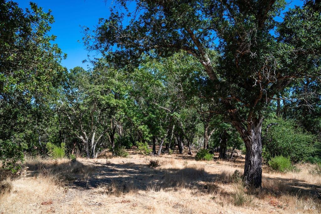 Detail Gallery Image 10 of 26 For 0 Mount Veeder Rd, Saint Helena,  CA 94574 - – Beds | – Baths