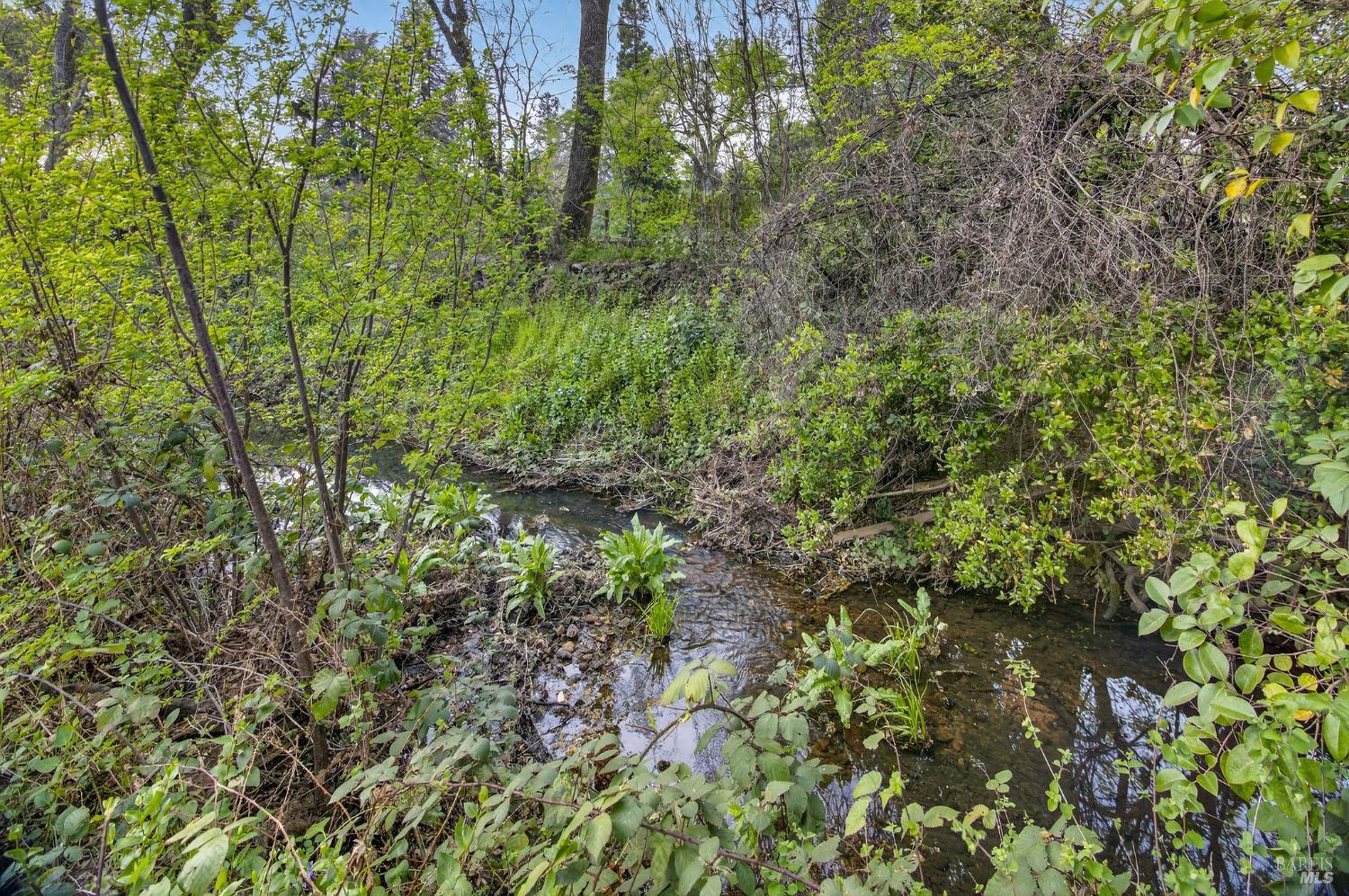 Detail Gallery Image 18 of 20 For 420 Glass Mountain Rd, Saint Helena,  CA 94574 - – Beds | – Baths