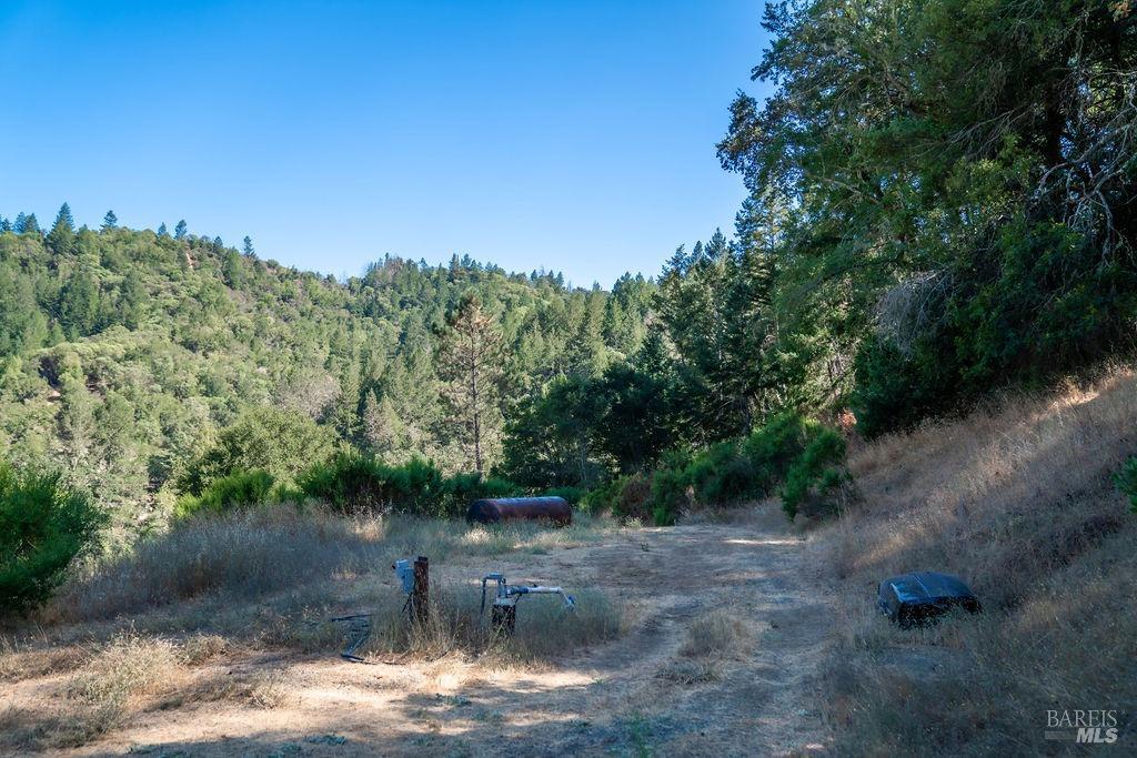 Detail Gallery Image 21 of 26 For 0 Mount Veeder Rd, Saint Helena,  CA 94574 - – Beds | – Baths