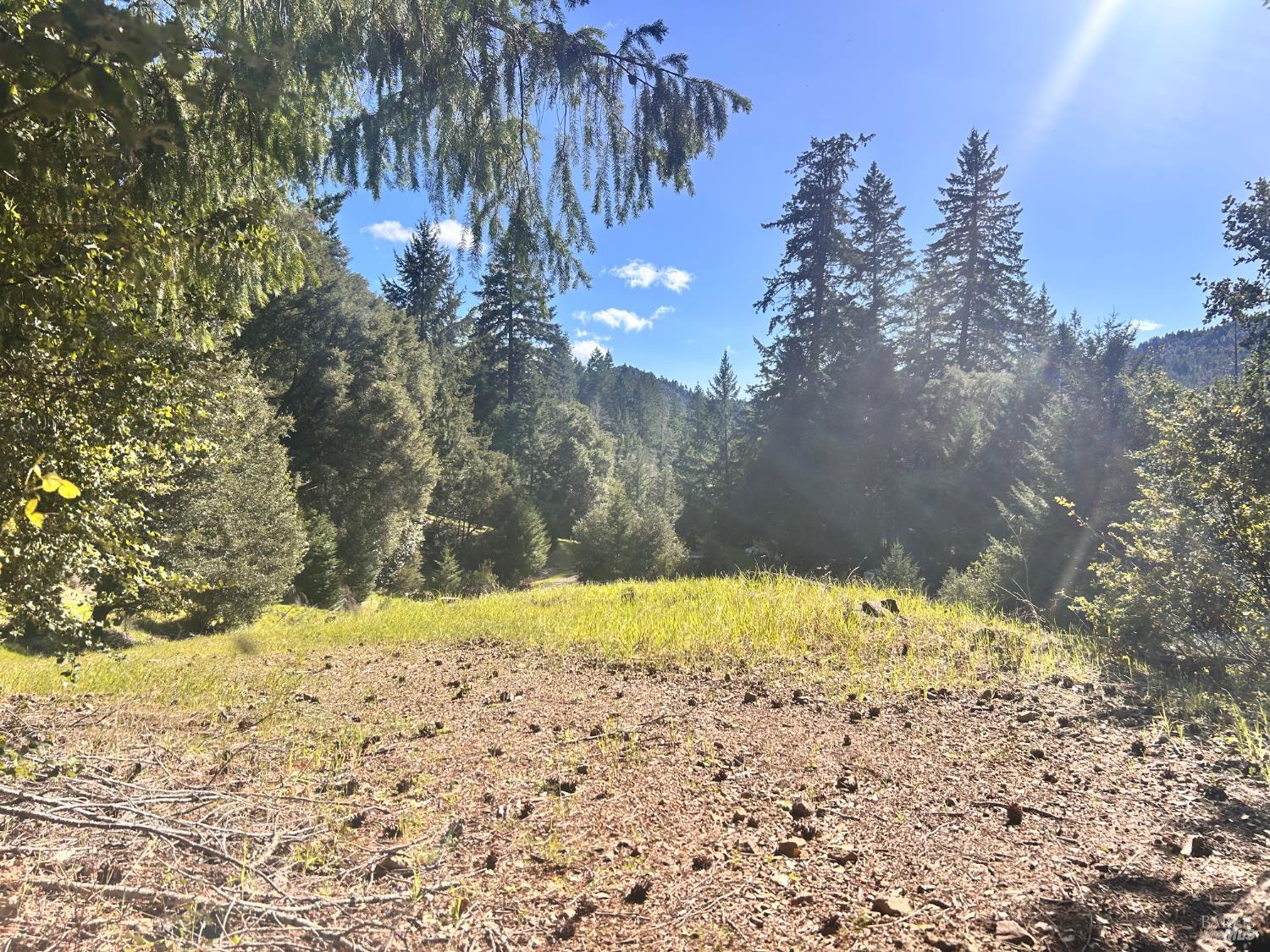 Detail Gallery Image 11 of 22 For 4100 Hansen Ranch Rd, Piercy,  CA 95587 - – Beds | – Baths