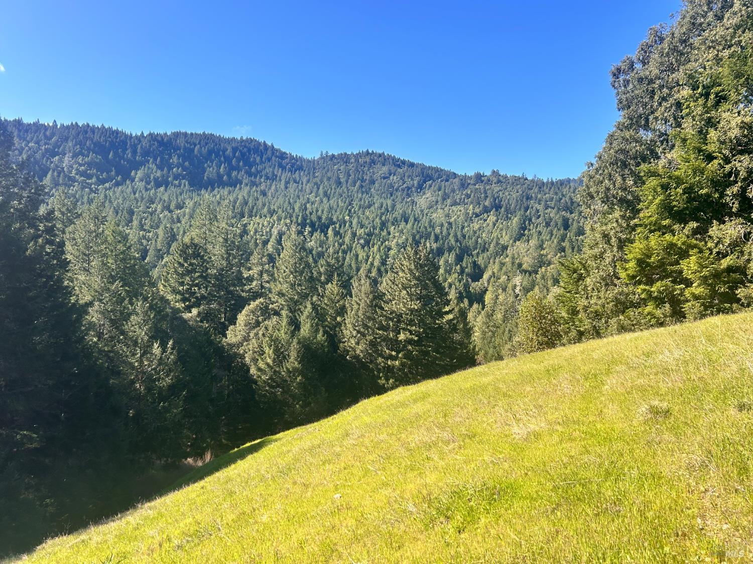 Detail Gallery Image 12 of 22 For 4100 Hansen Ranch Rd, Piercy,  CA 95587 - – Beds | – Baths