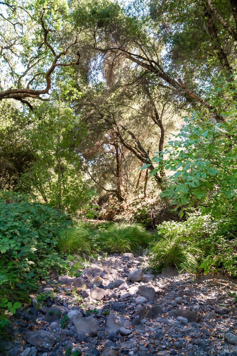 Detail Gallery Image 19 of 26 For 0 Mount Veeder Rd, Saint Helena,  CA 94574 - – Beds | – Baths