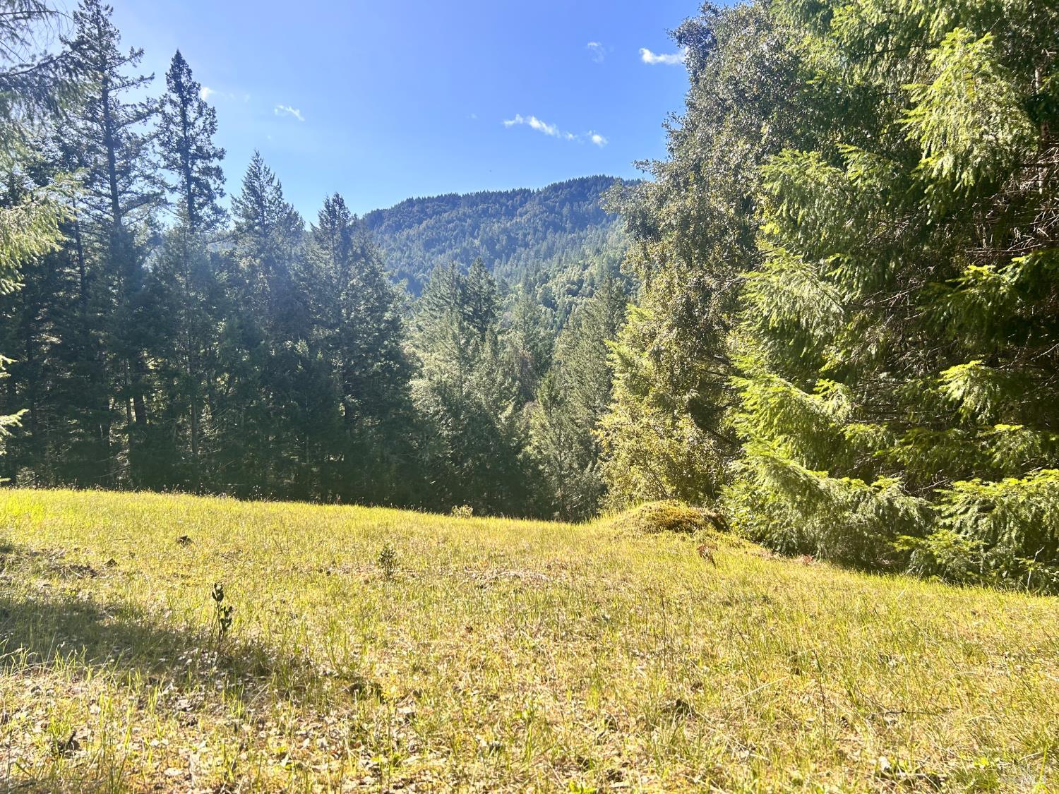 Detail Gallery Image 14 of 22 For 4100 Hansen Ranch Rd, Piercy,  CA 95587 - – Beds | – Baths