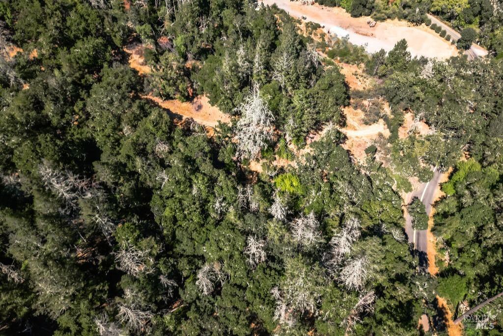 Detail Gallery Image 7 of 26 For 0 Mount Veeder Rd, Saint Helena,  CA 94574 - – Beds | – Baths