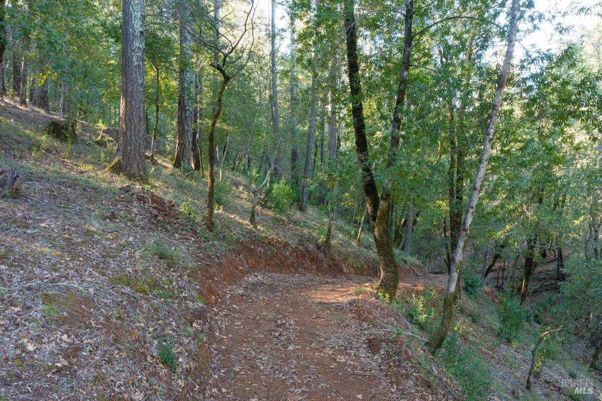 Detail Gallery Image 12 of 43 For 3210 W Dry Creek Rd, Healdsburg,  CA 95448 - – Beds | – Baths