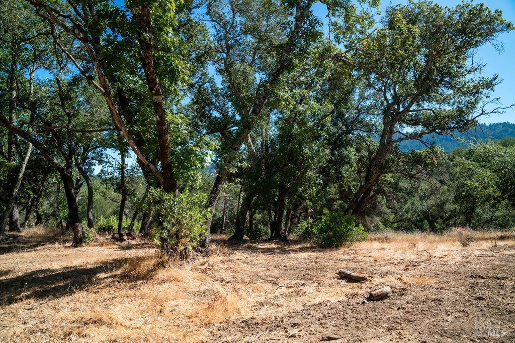 Detail Gallery Image 14 of 26 For 0 Mount Veeder Rd, Saint Helena,  CA 94574 - – Beds | – Baths