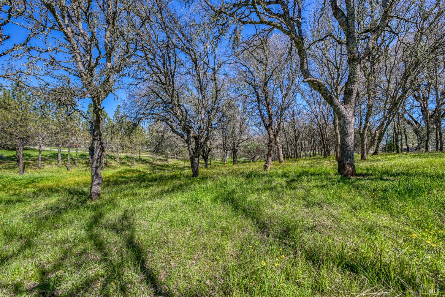 Detail Gallery Image 66 of 75 For 1001 Louis Way, Lakeport,  CA 95453 - 3 Beds | 2/1 Baths