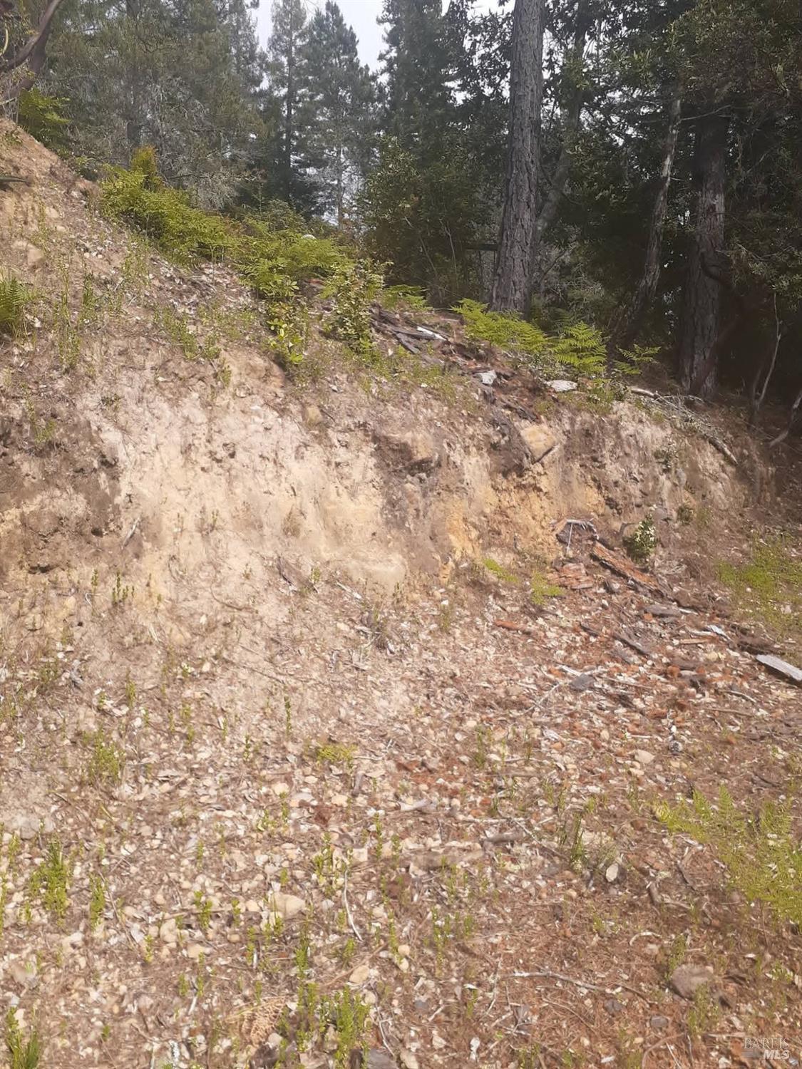 Detail Gallery Image 39 of 59 For 38160 Ocean Ridge Dr, Gualala,  CA 95445 - – Beds | – Baths