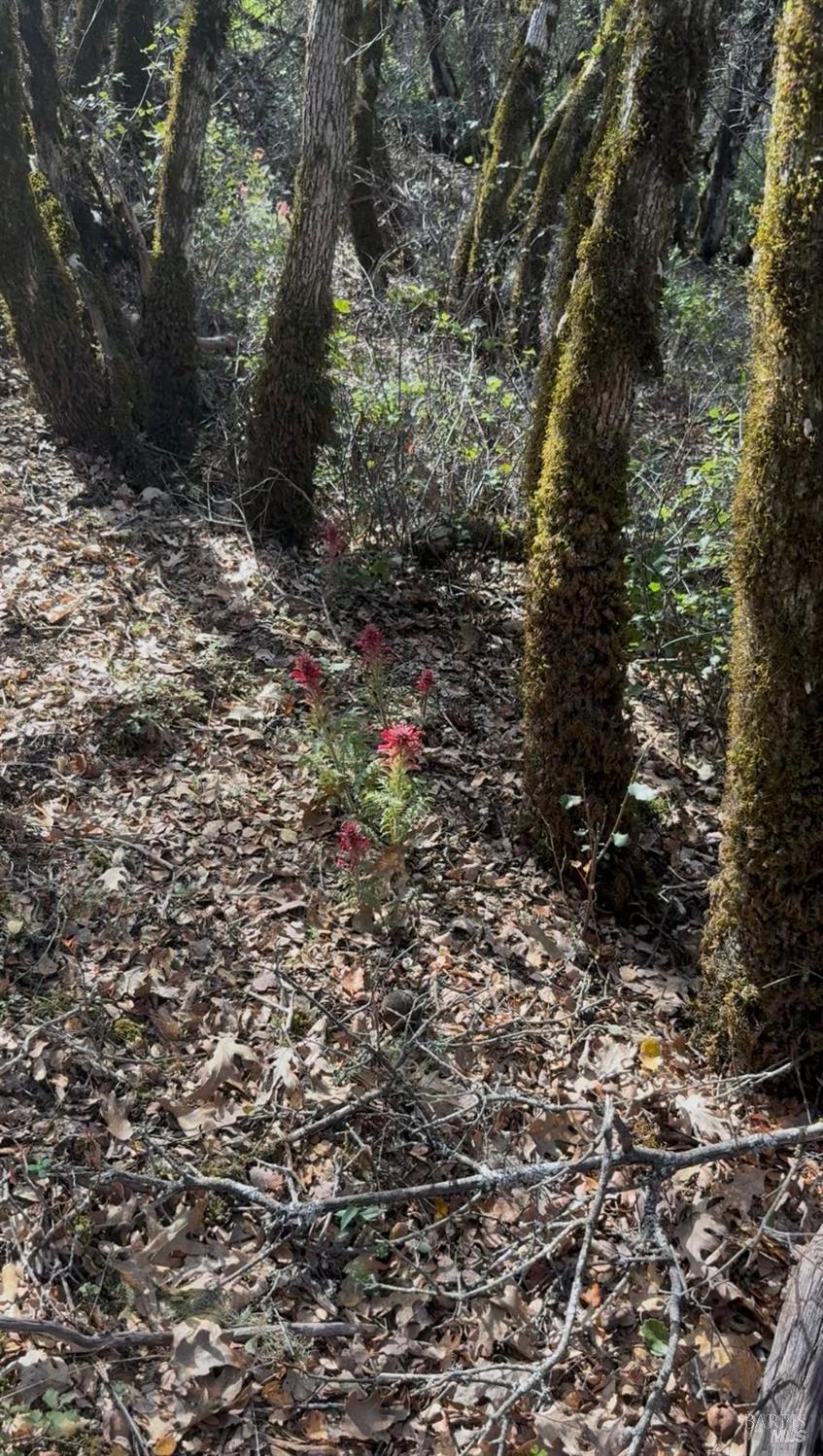 Detail Gallery Image 17 of 18 For 7700 8 W 25 Trl, Lucerne,  CA 95458 - – Beds | – Baths