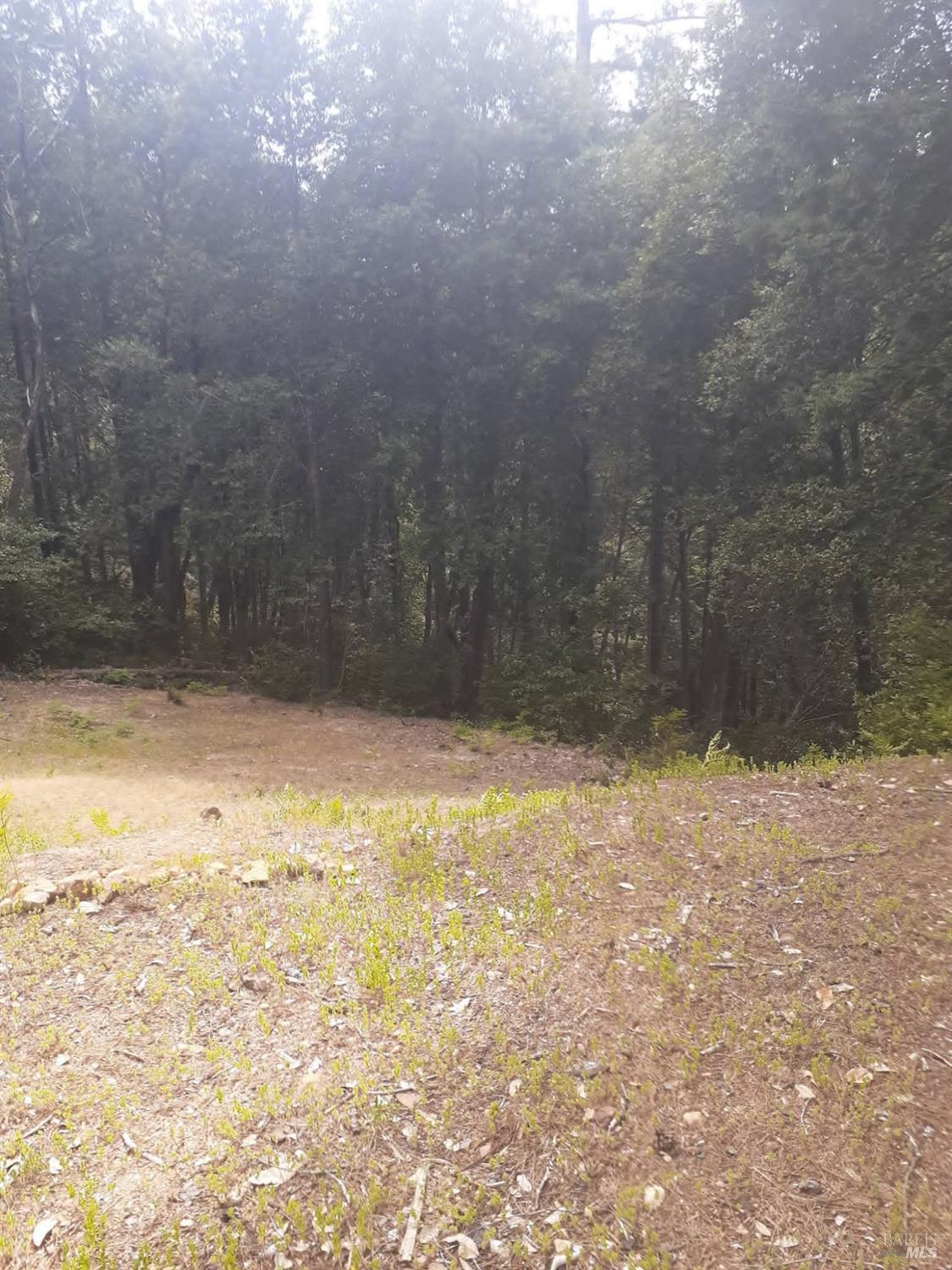 Detail Gallery Image 52 of 59 For 38160 Ocean Ridge Dr, Gualala,  CA 95445 - – Beds | – Baths