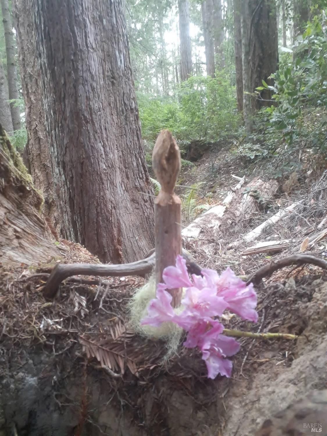 Detail Gallery Image 55 of 59 For 38160 Ocean Ridge Dr, Gualala,  CA 95445 - – Beds | – Baths