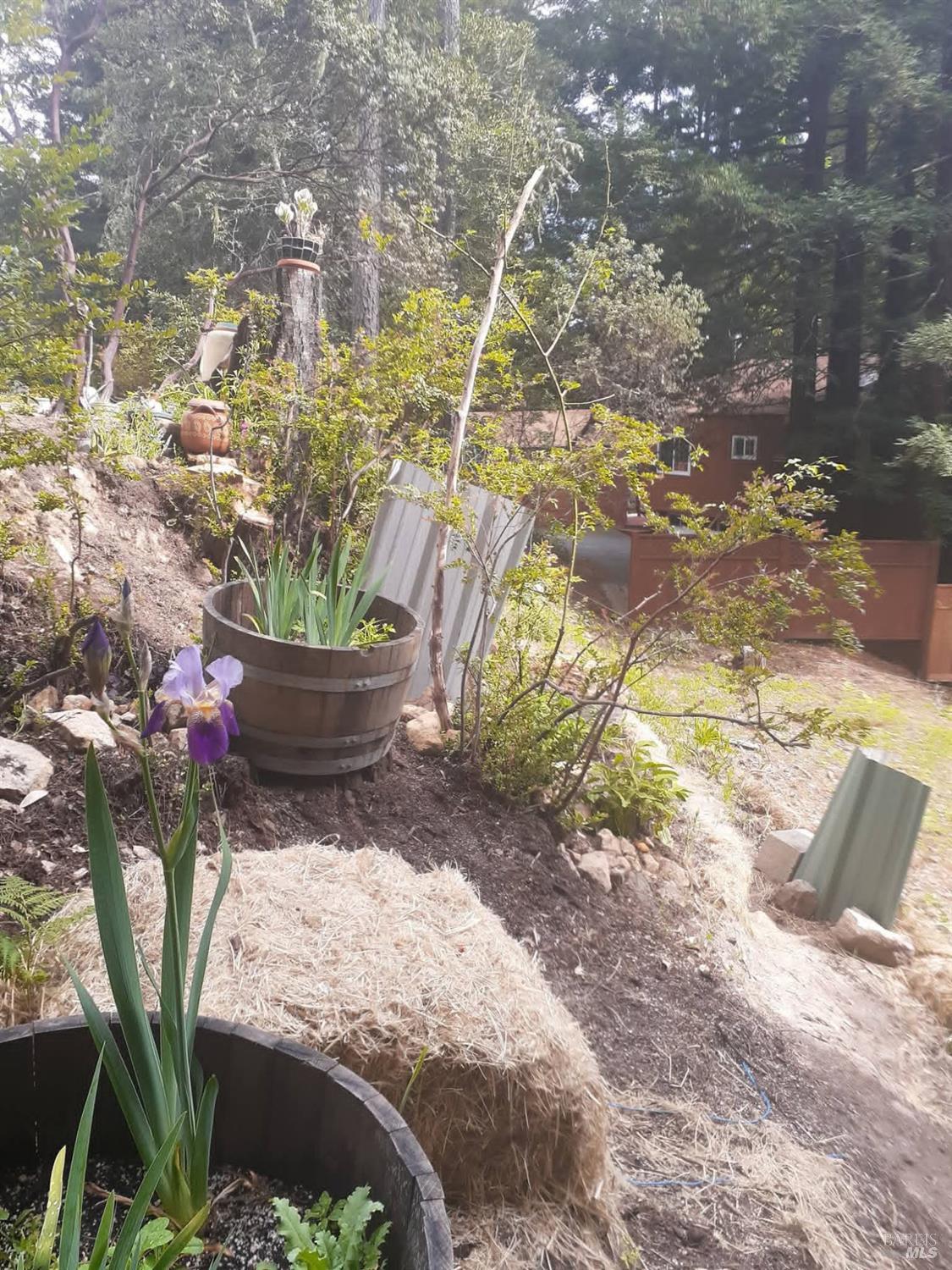 Detail Gallery Image 38 of 59 For 38160 Ocean Ridge Dr, Gualala,  CA 95445 - – Beds | – Baths