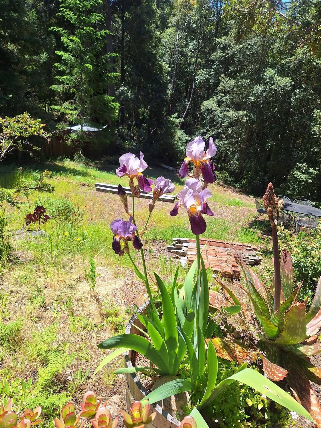 Detail Gallery Image 25 of 59 For 38160 Ocean Ridge Dr, Gualala,  CA 95445 - – Beds | – Baths