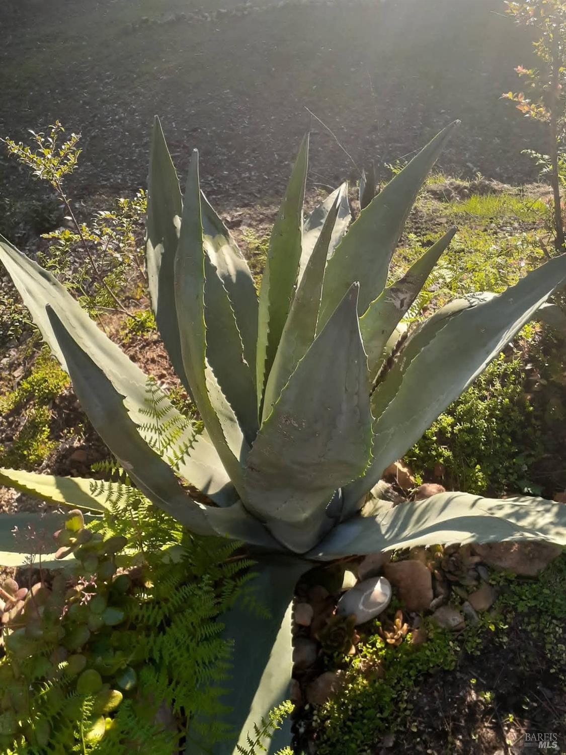 Detail Gallery Image 48 of 59 For 38160 Ocean Ridge Dr, Gualala,  CA 95445 - – Beds | – Baths