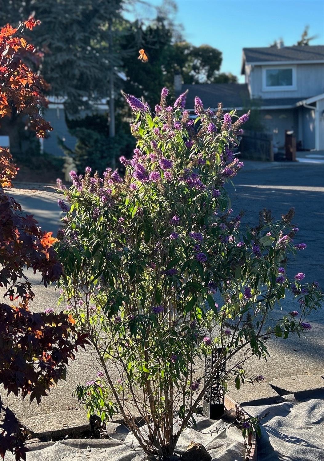 Detail Gallery Image 53 of 87 For 212 Eaton Ct, Benicia,  CA 94510 - 3 Beds | 2 Baths