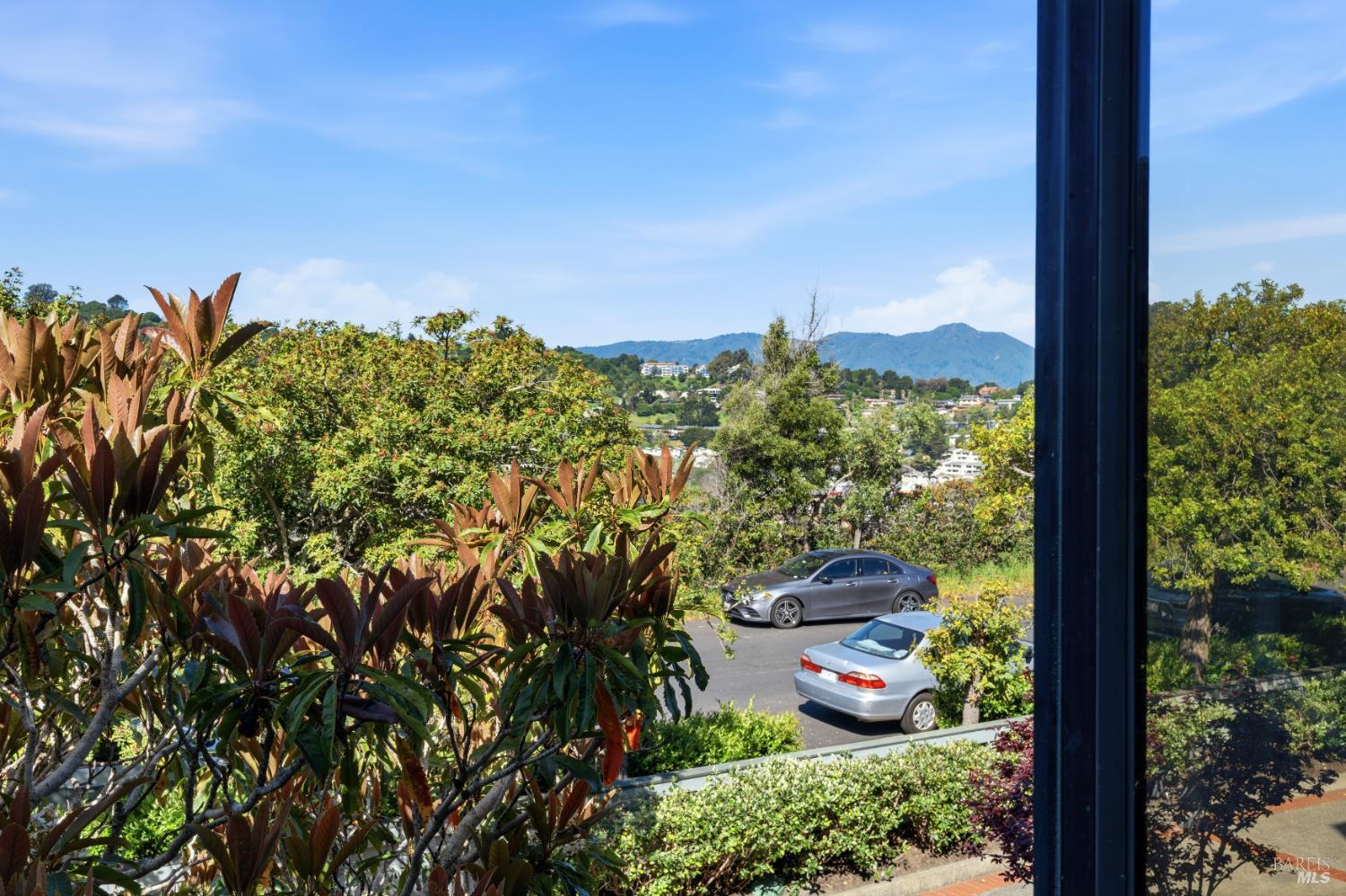 Detail Gallery Image 16 of 46 For 846 Olima St, Sausalito,  CA 94965 - 2 Beds | 2/1 Baths