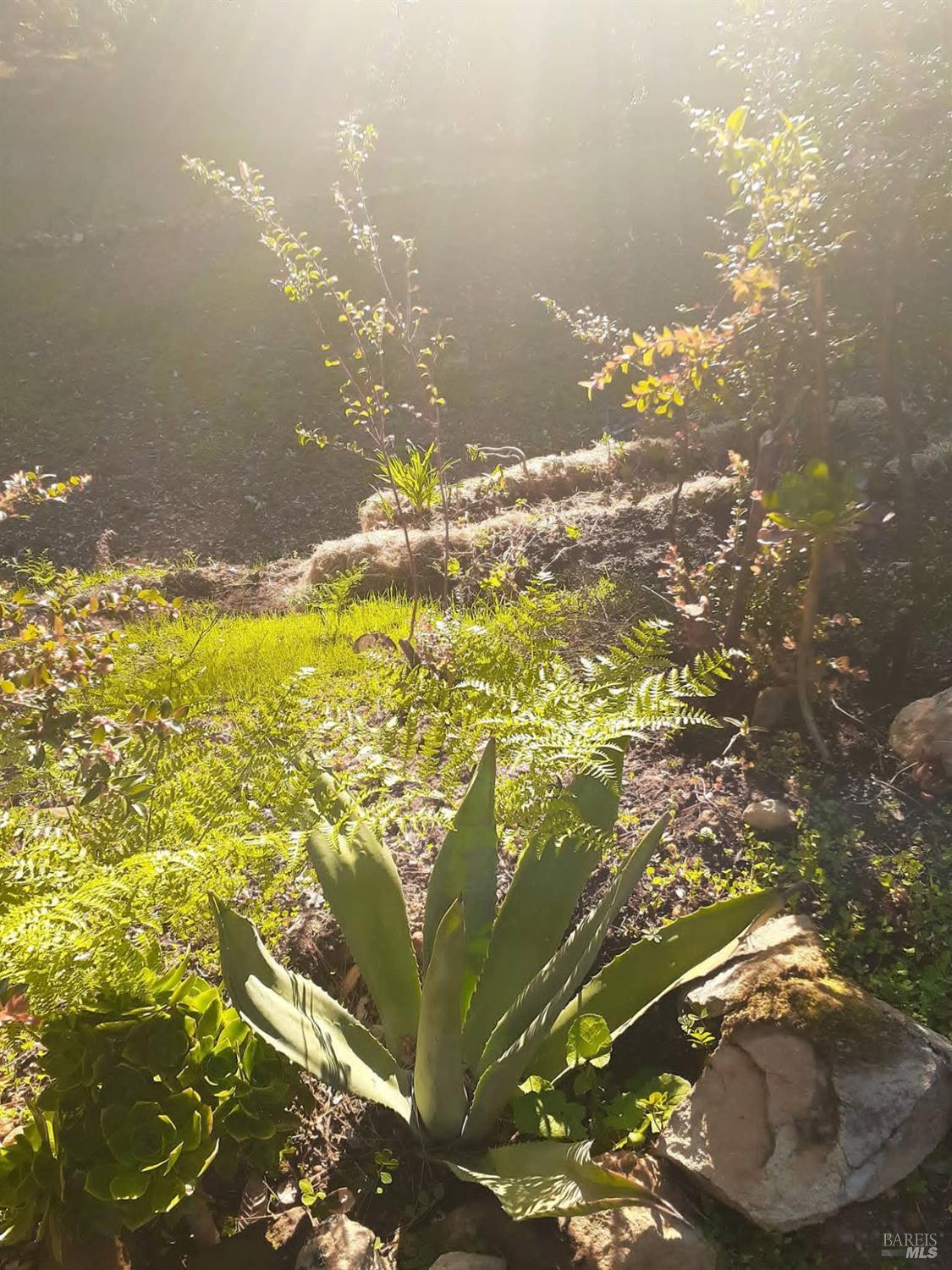 Detail Gallery Image 35 of 59 For 38160 Ocean Ridge Dr, Gualala,  CA 95445 - – Beds | – Baths