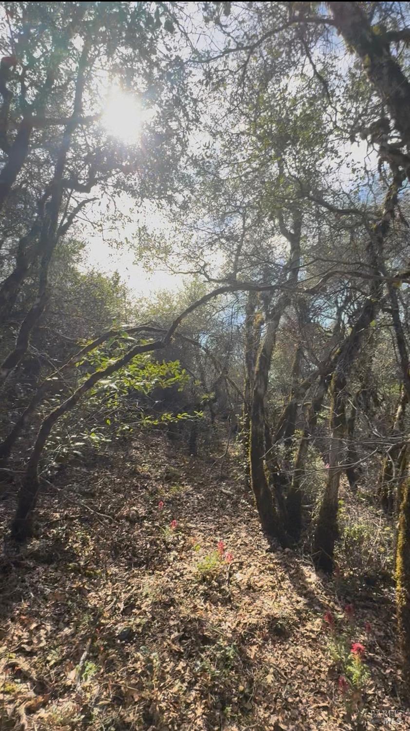 Detail Gallery Image 18 of 18 For 7700 8 W 25 Trl, Lucerne,  CA 95458 - – Beds | – Baths