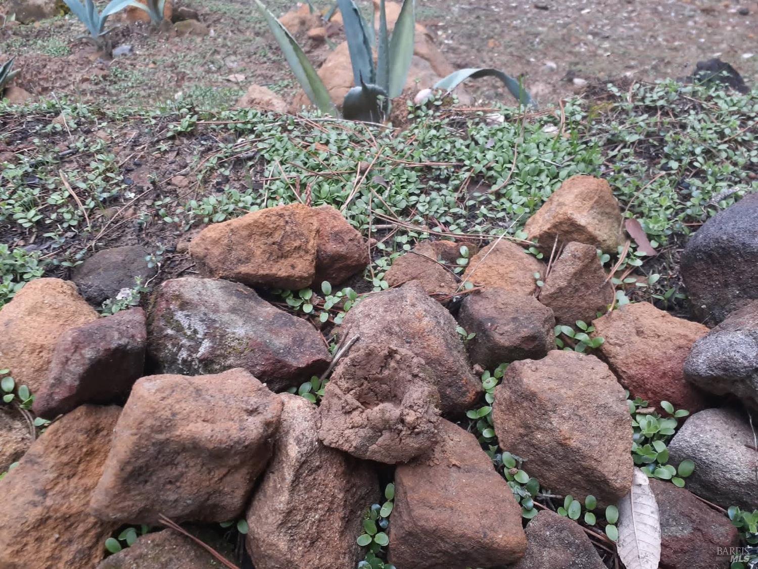 Detail Gallery Image 46 of 59 For 38160 Ocean Ridge Dr, Gualala,  CA 95445 - – Beds | – Baths