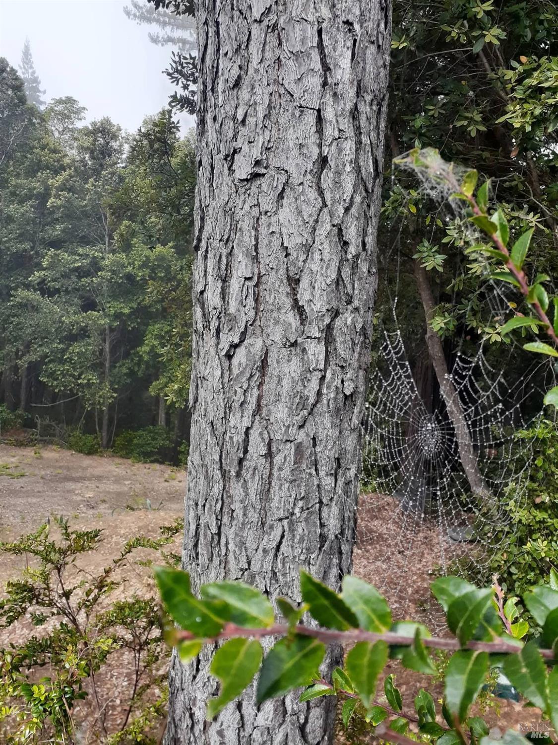 Detail Gallery Image 28 of 59 For 38160 Ocean Ridge Dr, Gualala,  CA 95445 - – Beds | – Baths