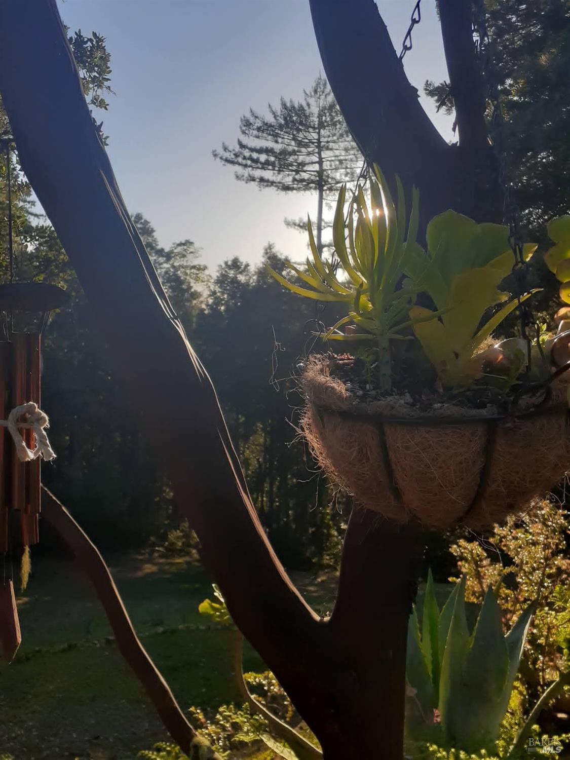 Detail Gallery Image 33 of 59 For 38160 Ocean Ridge Dr, Gualala,  CA 95445 - – Beds | – Baths