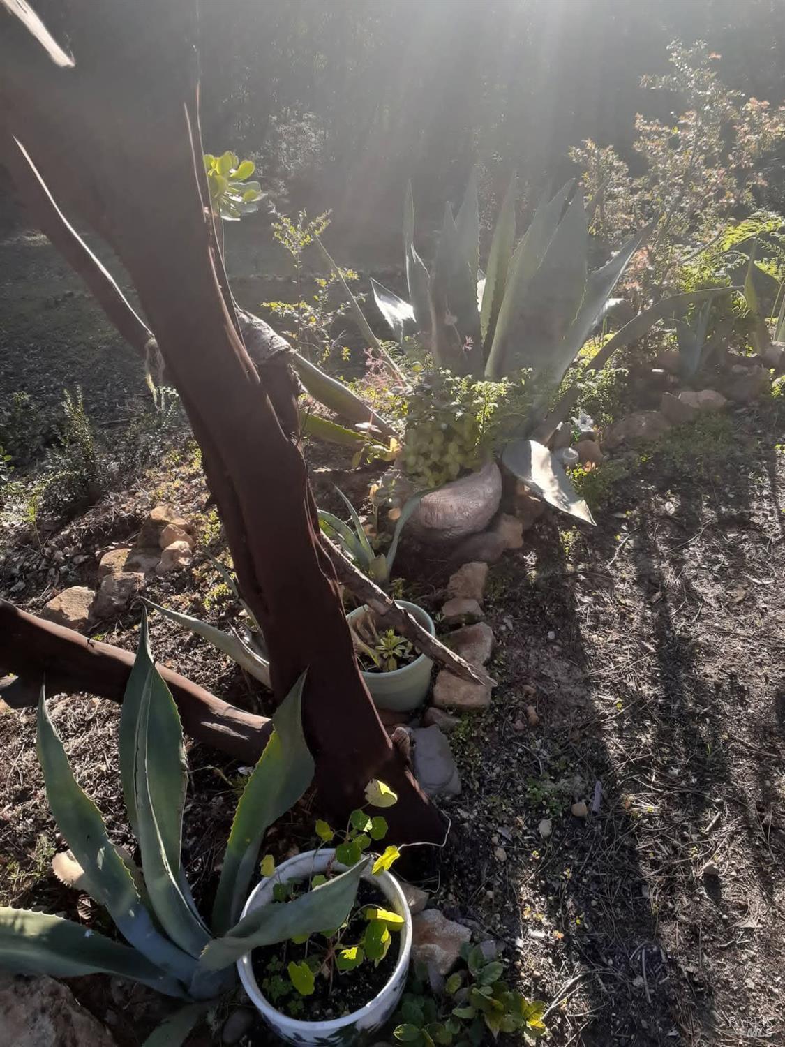 Detail Gallery Image 41 of 59 For 38160 Ocean Ridge Dr, Gualala,  CA 95445 - – Beds | – Baths