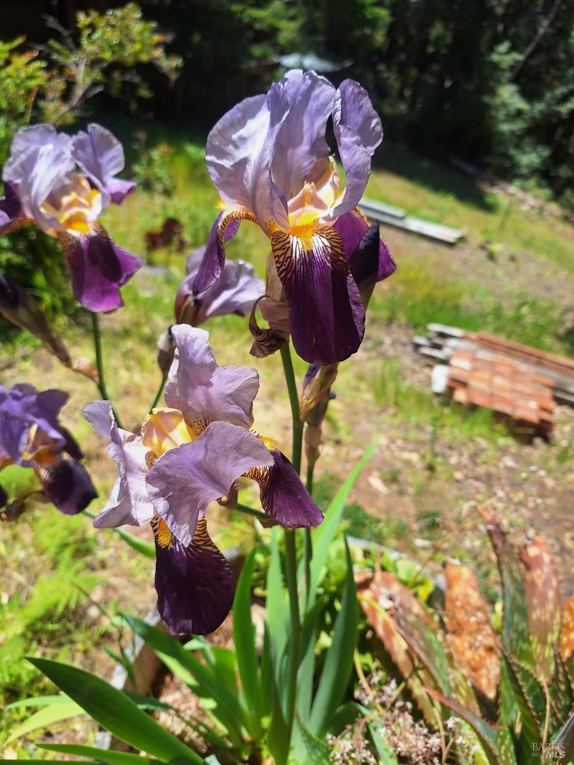 Detail Gallery Image 24 of 59 For 38160 Ocean Ridge Dr, Gualala,  CA 95445 - – Beds | – Baths