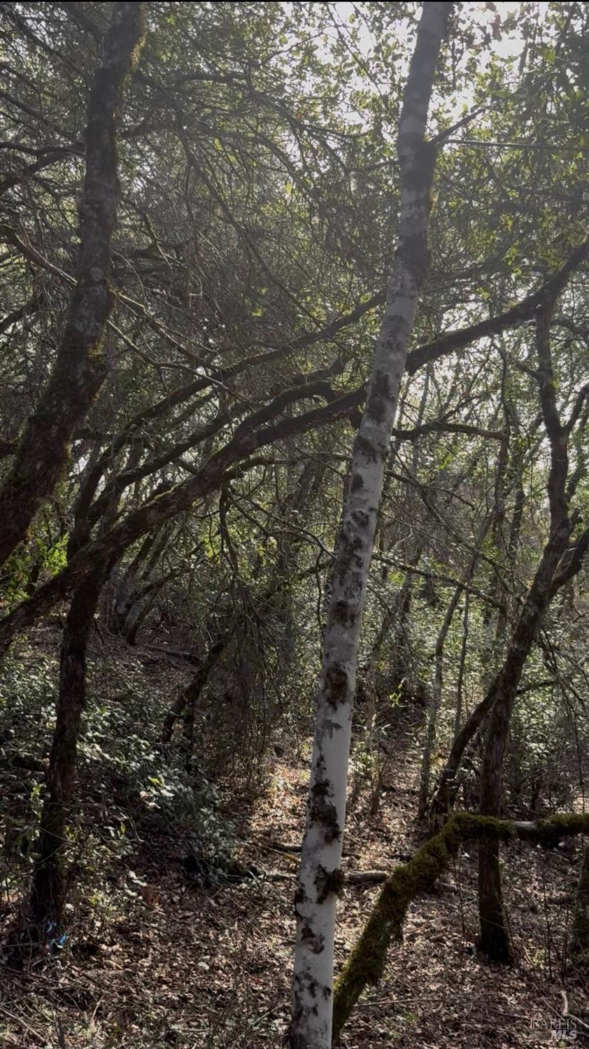 Detail Gallery Image 16 of 18 For 7700 8 W 25 Trl, Lucerne,  CA 95458 - – Beds | – Baths