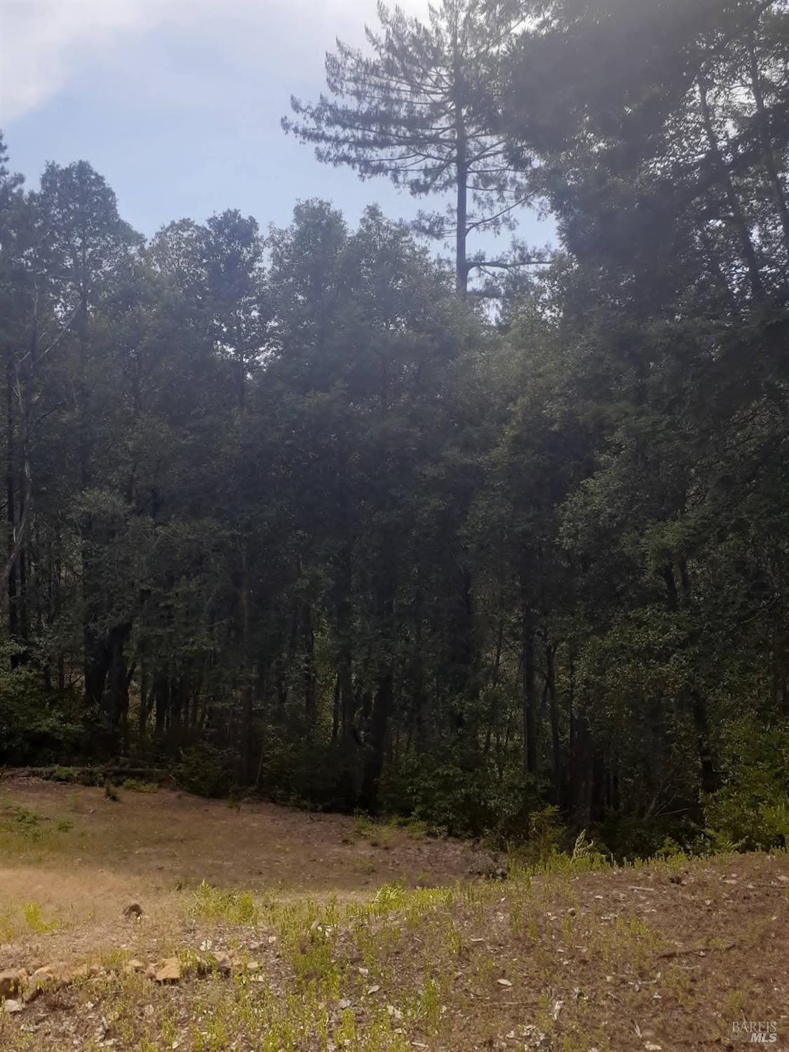 Detail Gallery Image 51 of 59 For 38160 Ocean Ridge Dr, Gualala,  CA 95445 - – Beds | – Baths