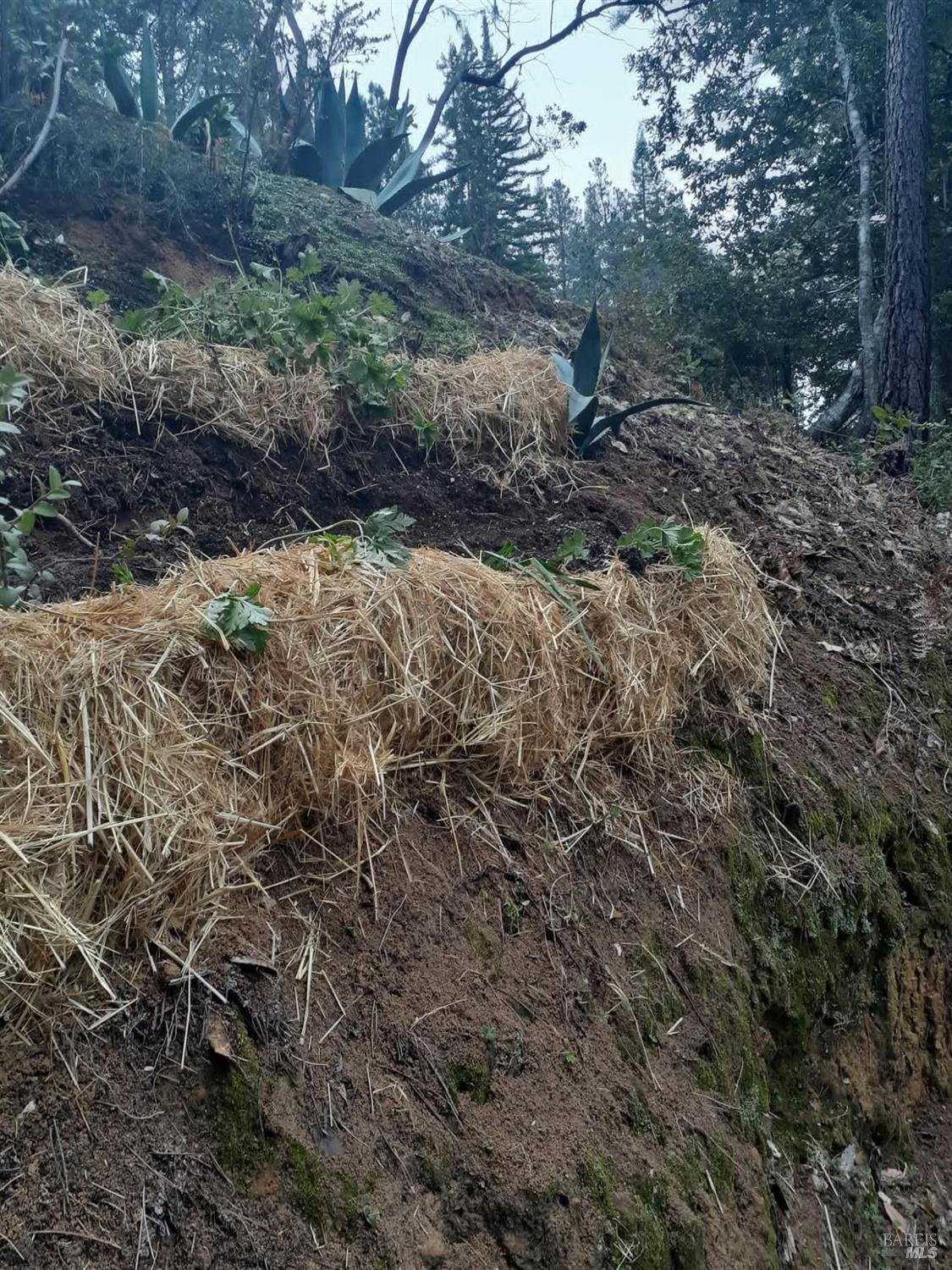 Detail Gallery Image 34 of 59 For 38160 Ocean Ridge Dr, Gualala,  CA 95445 - – Beds | – Baths