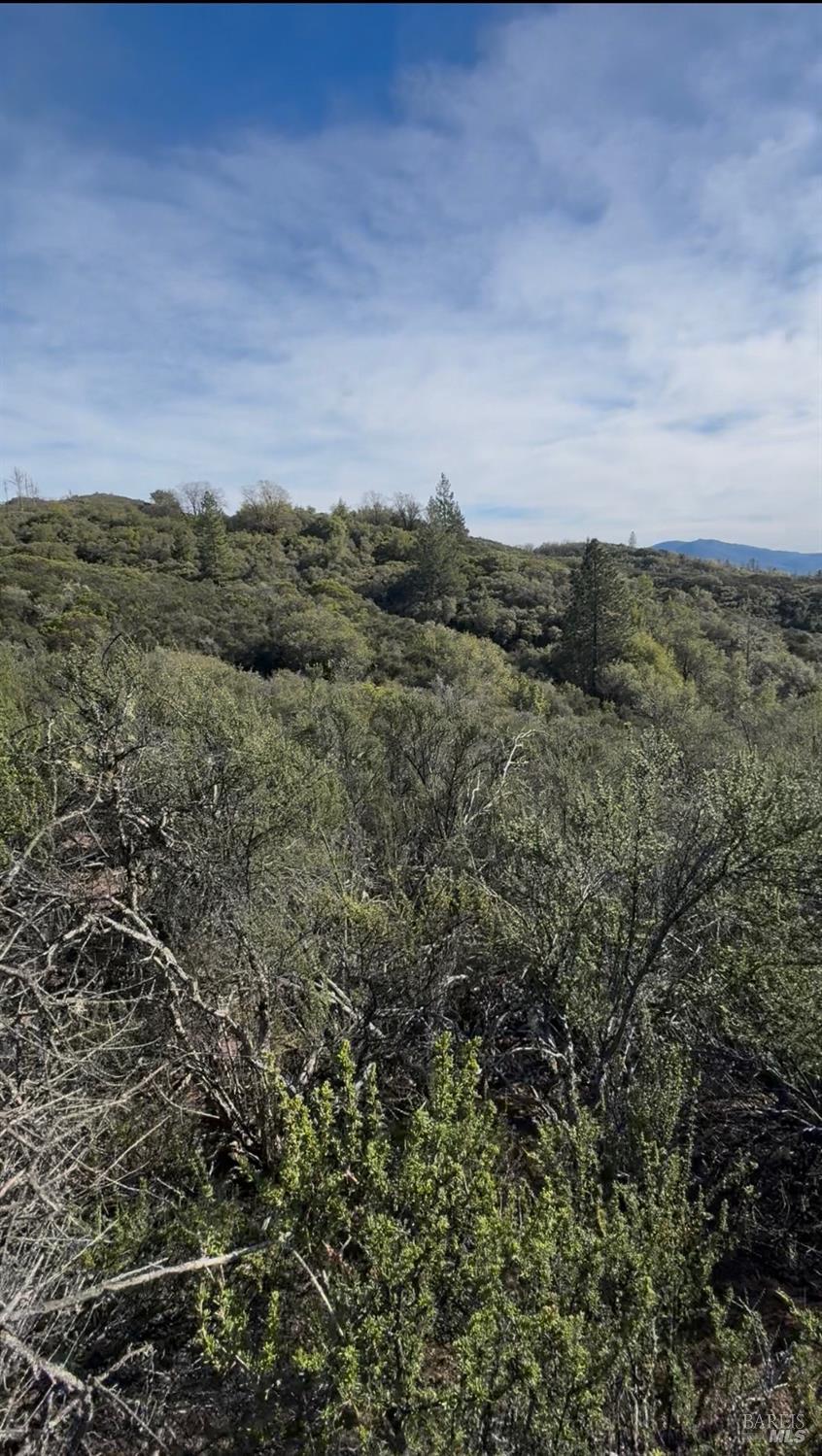 Detail Gallery Image 3 of 18 For 7700 8 W 25 Trl, Lucerne,  CA 95458 - – Beds | – Baths