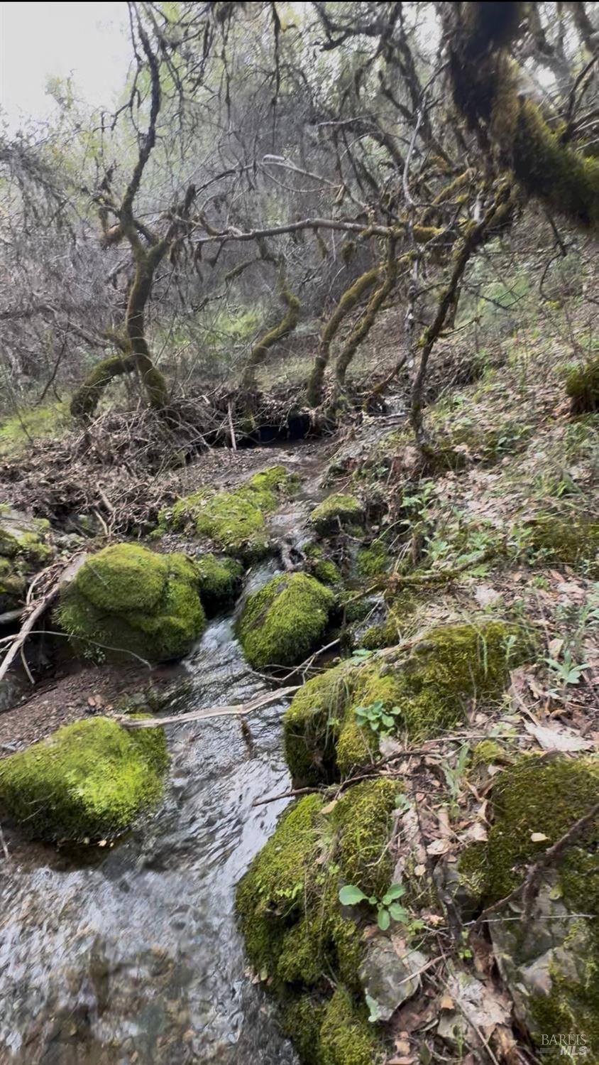 Detail Gallery Image 14 of 18 For 7700 8 W 25 Trl, Lucerne,  CA 95458 - – Beds | – Baths